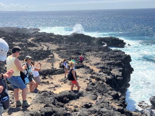 yogabruxelles-stage-lanzarote-2024-16